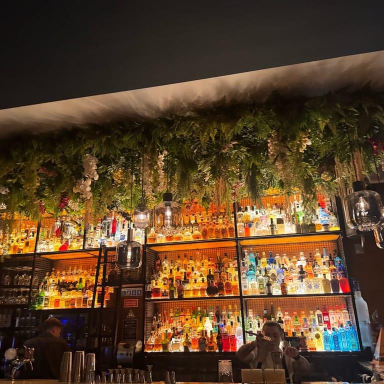 image of Bar Java House
