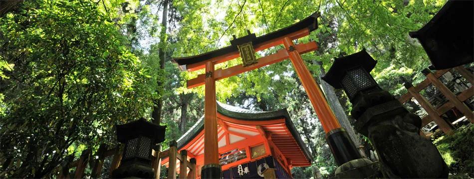 image of Fushimi Inari Taisha