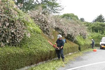 image of （有）花信風