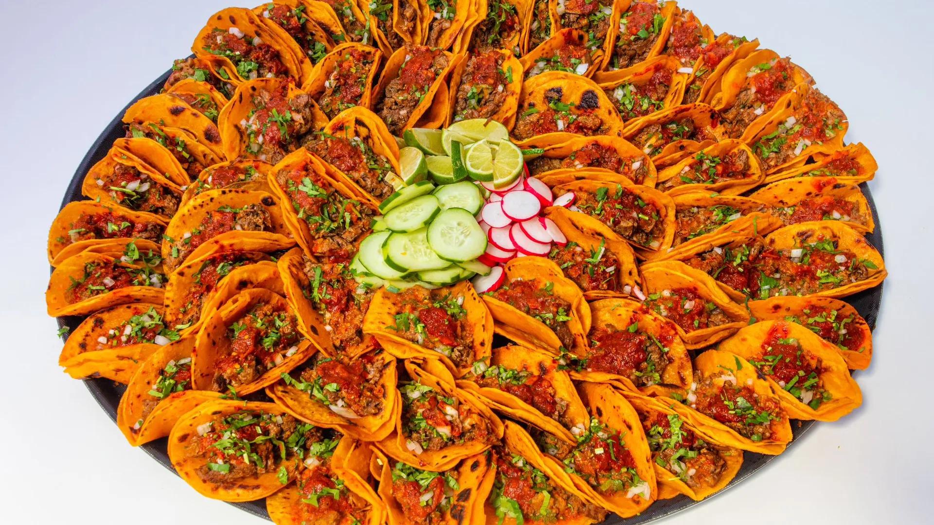 image of Birria-Landia