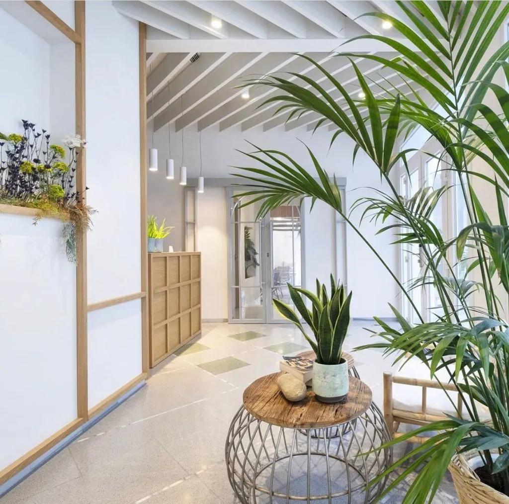image of Alzocaire Hostal Boutique