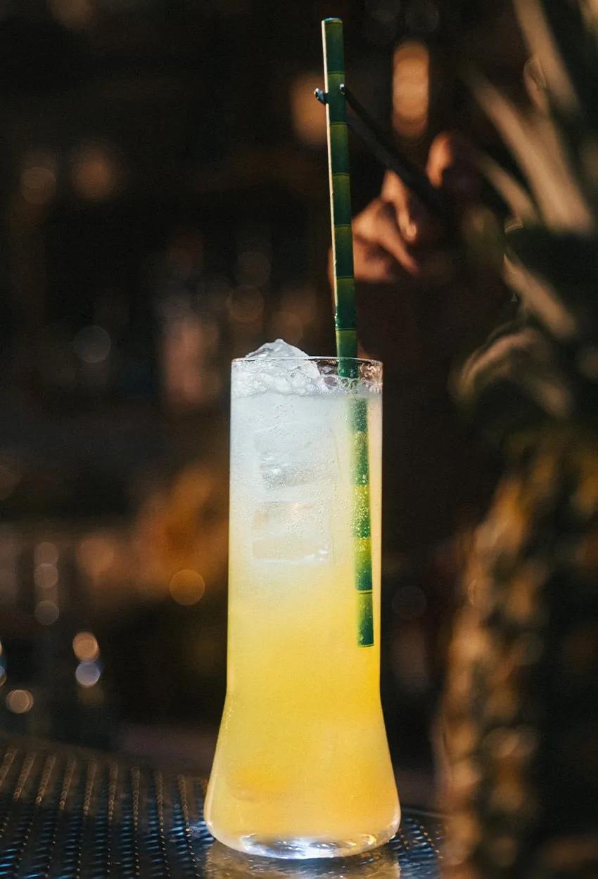 image of Swing Bar