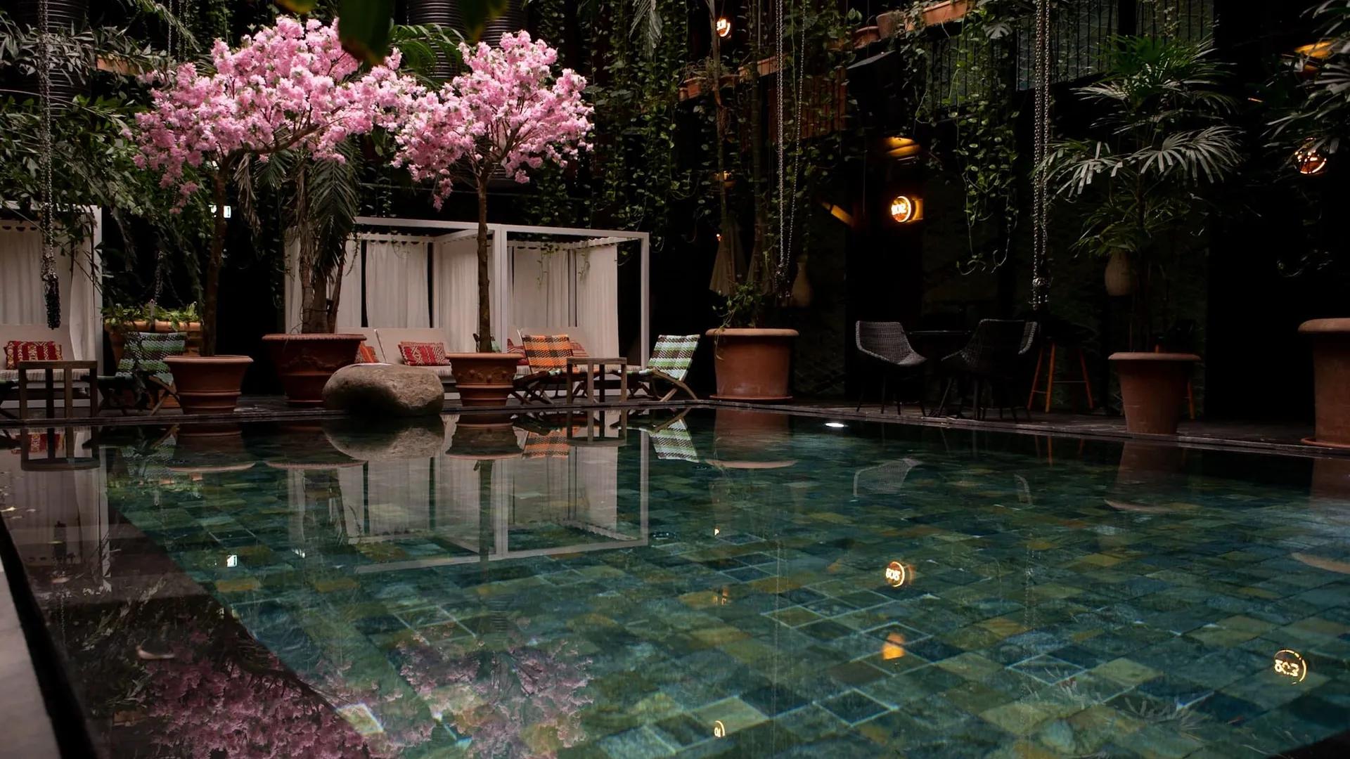 image of Manon Les Suites