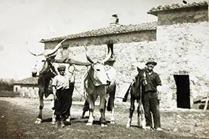 image of Borgo Santo Pietro