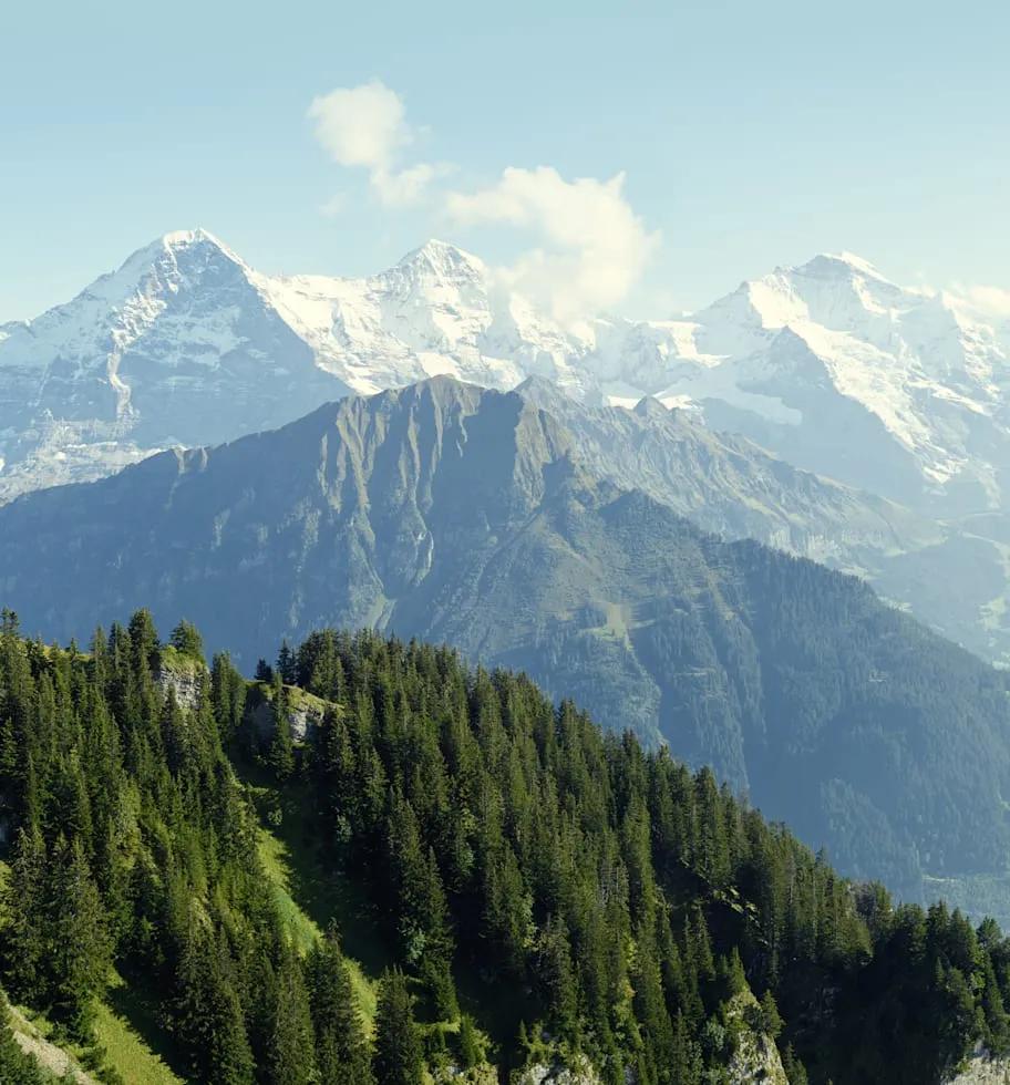 image of Grindelwald-First - Top of Adventure