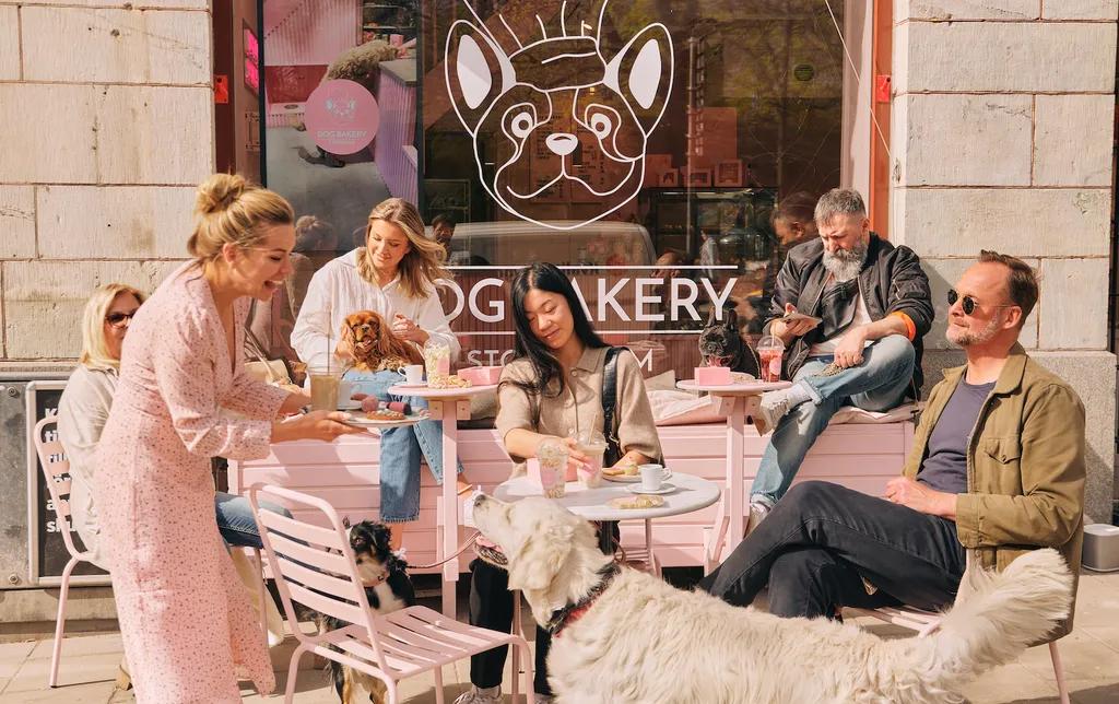 image of Dog Bakery Stockholm Vasaparken