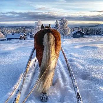 image of Trumvallen Fjällridning