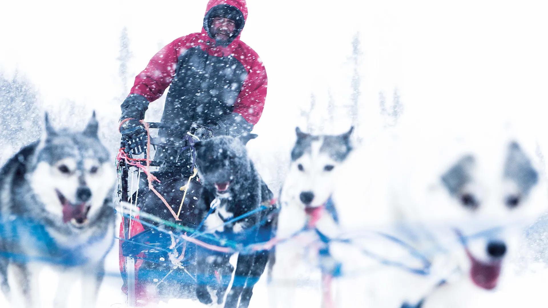 image of Riverlodge Huskys