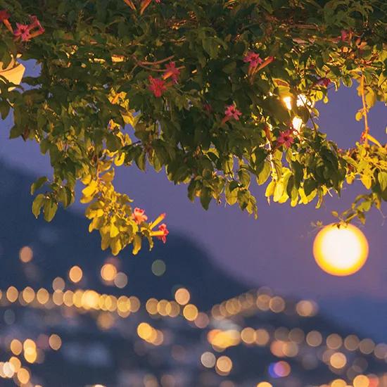 image of Il Tridente Positano