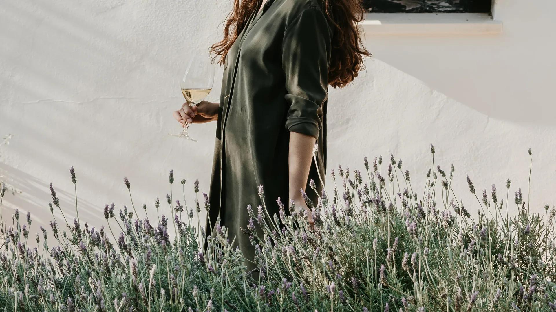 image of Bodegas Binifadet