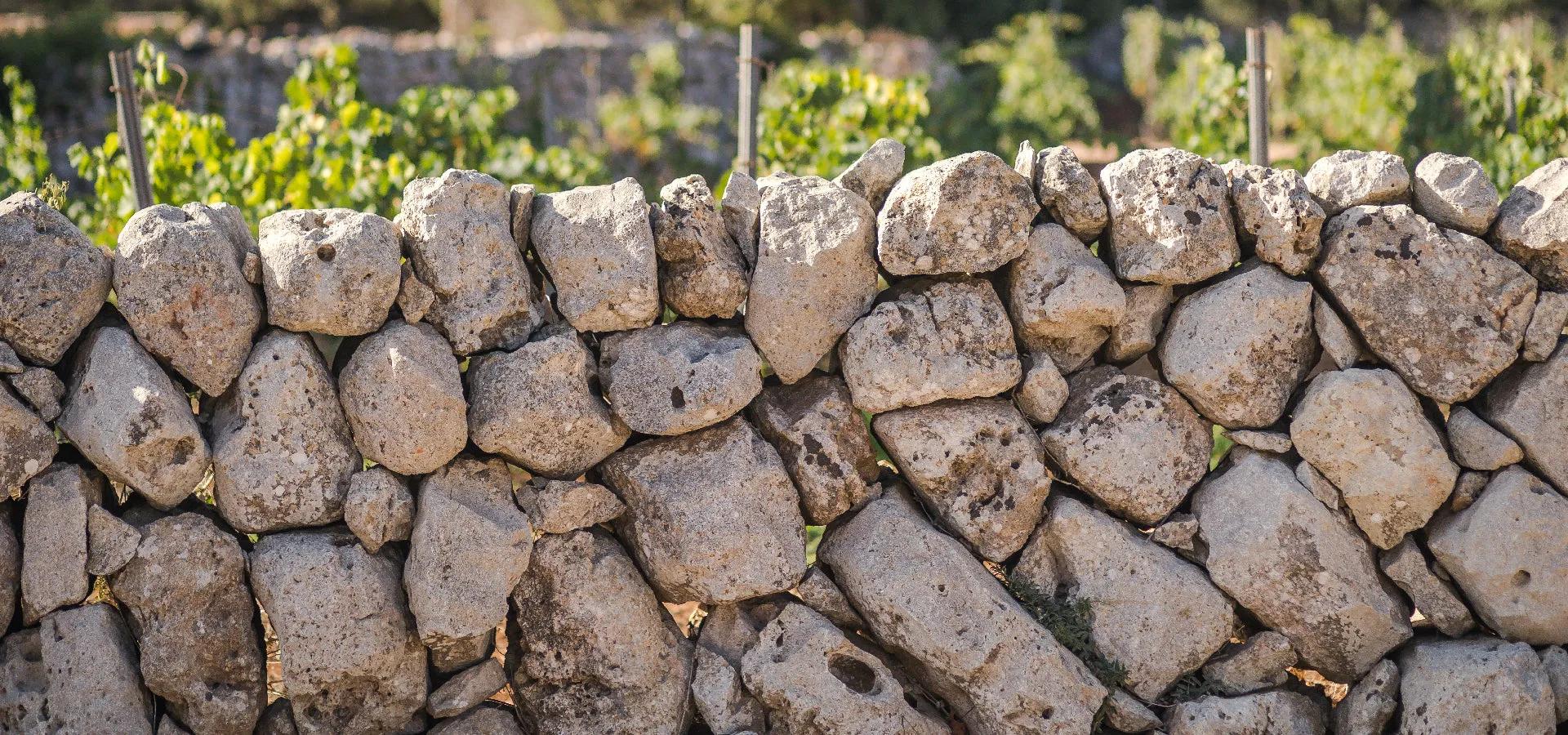 image of Bodegas Binifadet