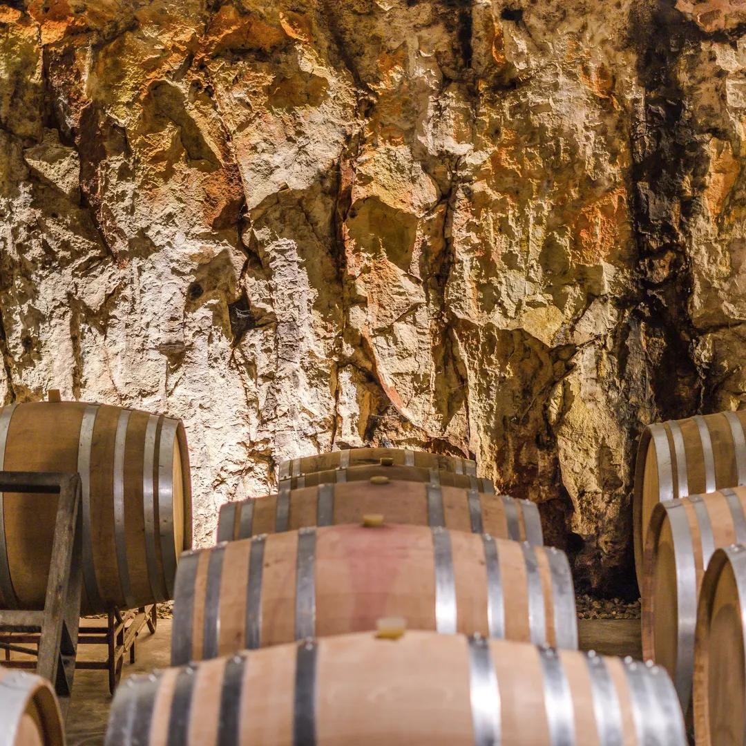 image of Bodegas Binifadet