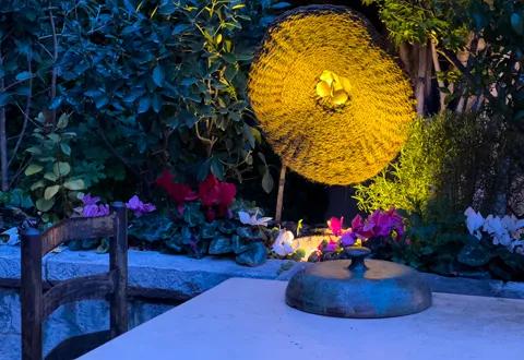 image of La Colombe d'Or Hotel and Restaurant