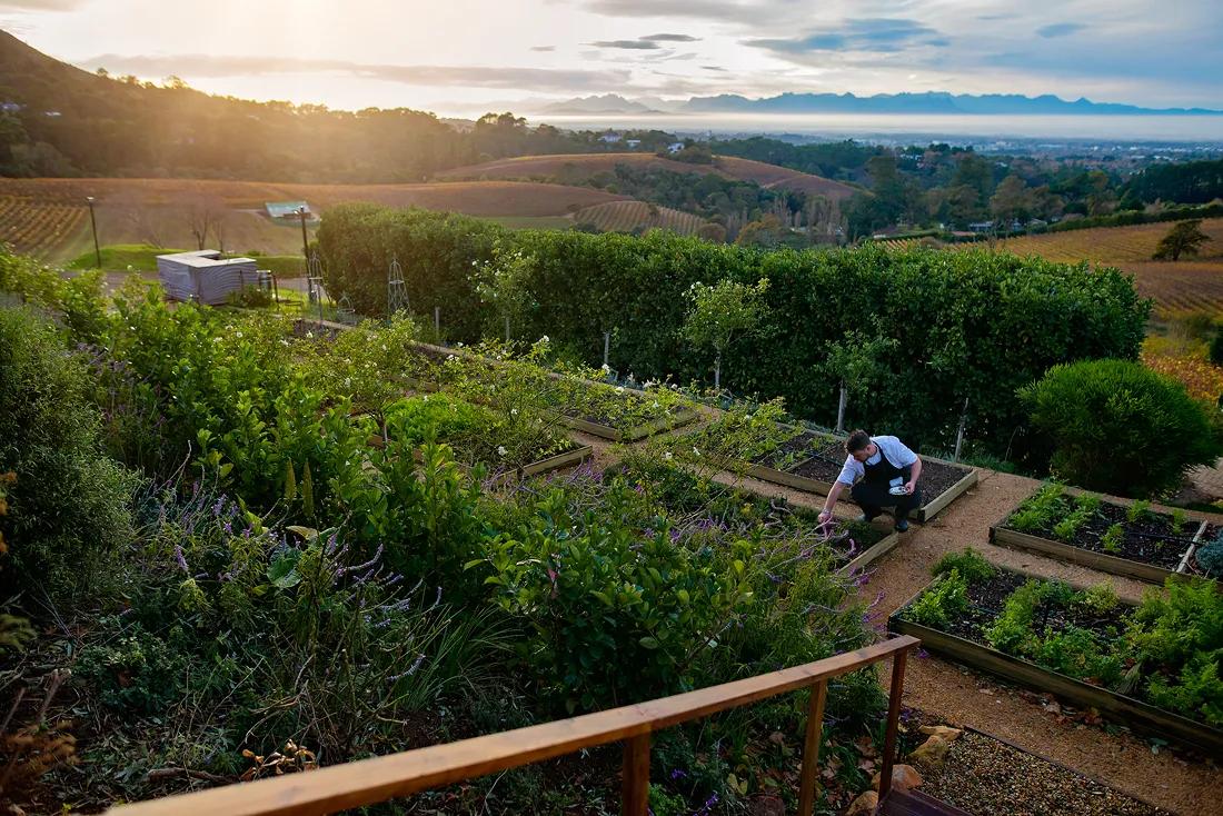 image of Chefs Warehouse Beau Constantia