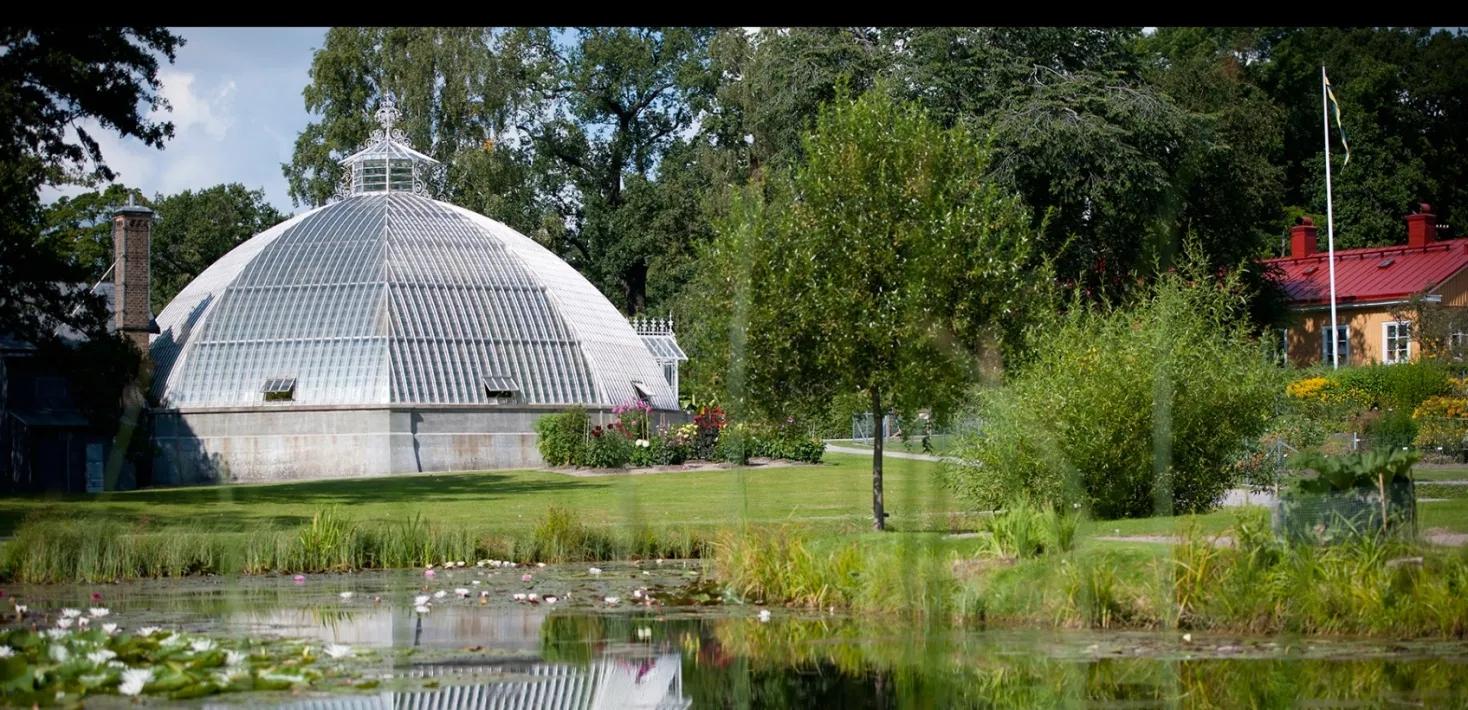 Bergianska trädgården