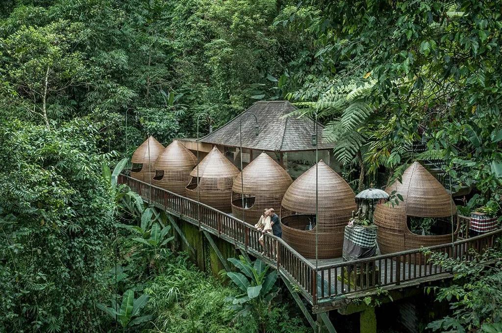 image of The Kayon Jungle Resort