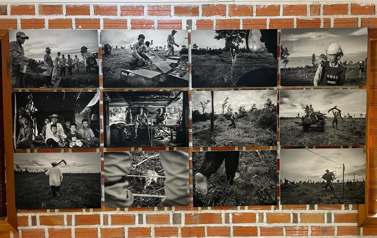 image of APOPO - Humanitarian Demining