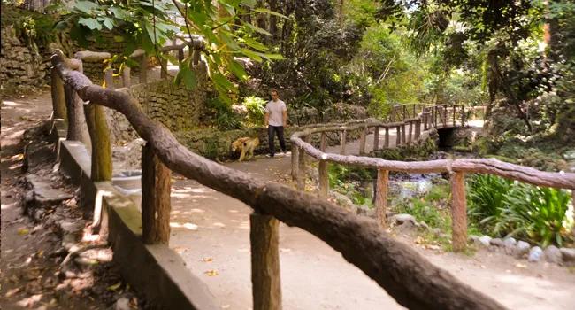Image of the location Griffith Park