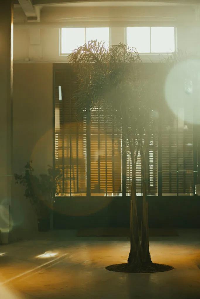 image of Maka Loft