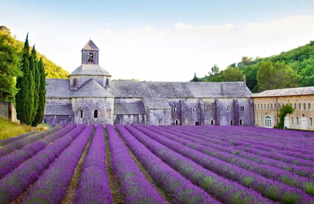 image of Coquillade Provence