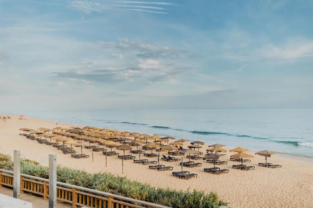 image of Well Vale Do Lobo