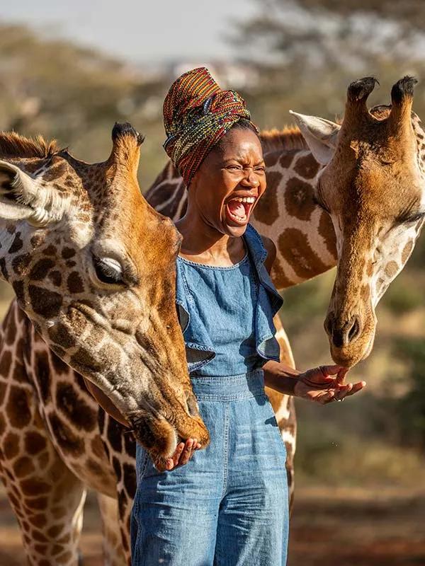 image of Giraffe Manor