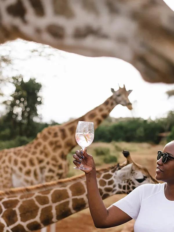 image of Giraffe Manor
