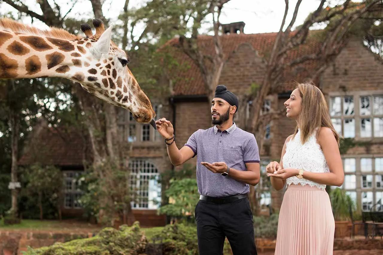 image of Giraffe Manor