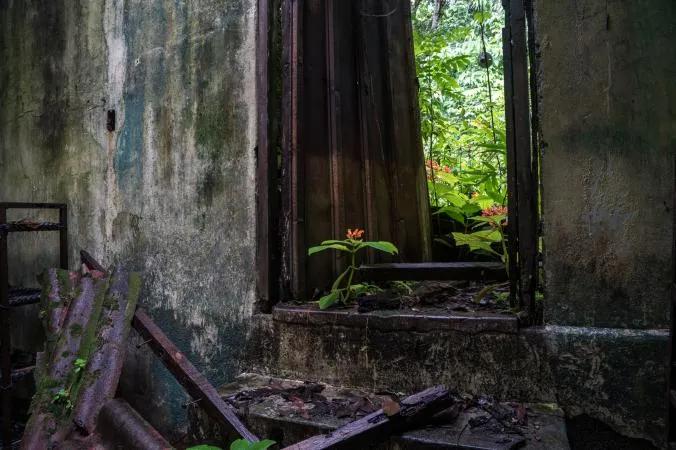 image of Unlimited Adventures Coiba