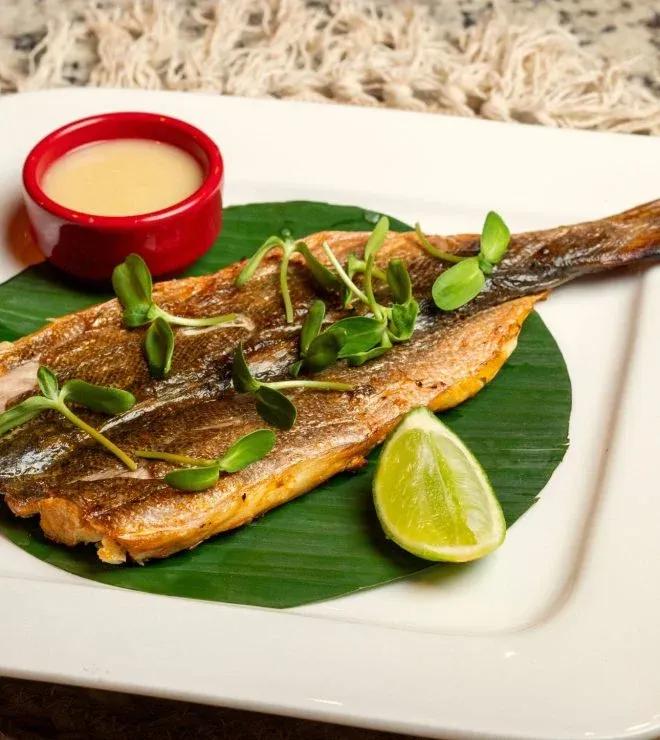 image of Aya la Vida Restaurante - Cocina Panameña