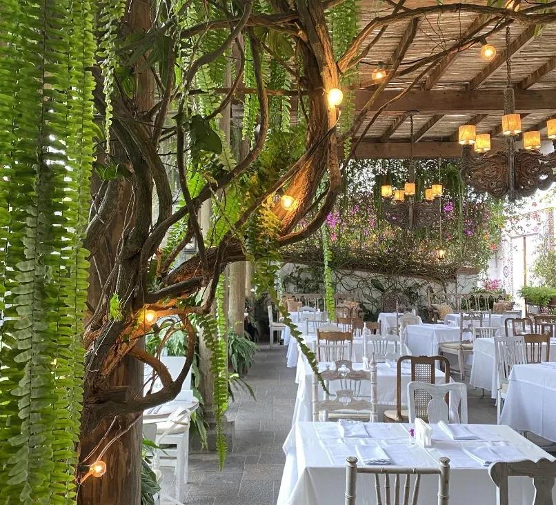image of Cafe Museo Larco