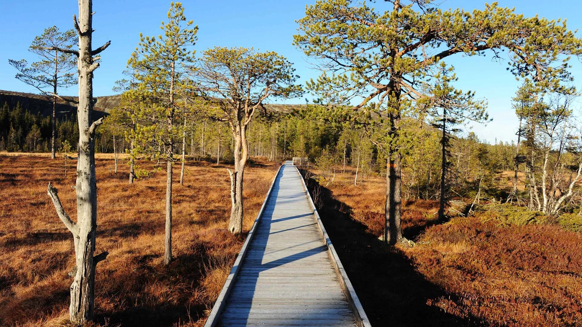 image of Njupeskär Waterfall