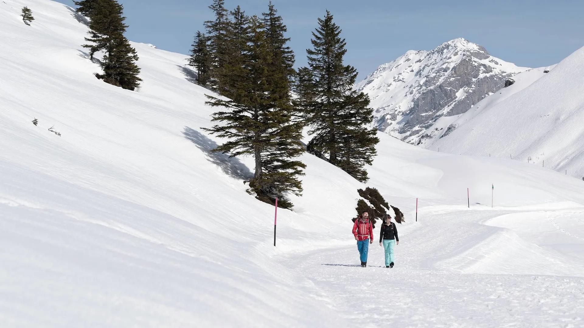 image of TITLIS Xpress