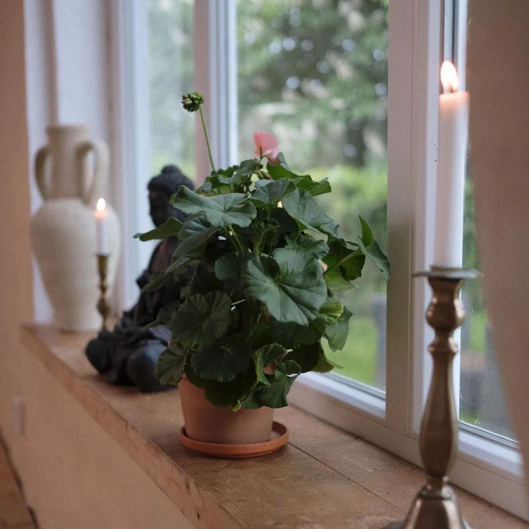 image of Bäddar och Ängar (fd. Logi Gamlegård)
