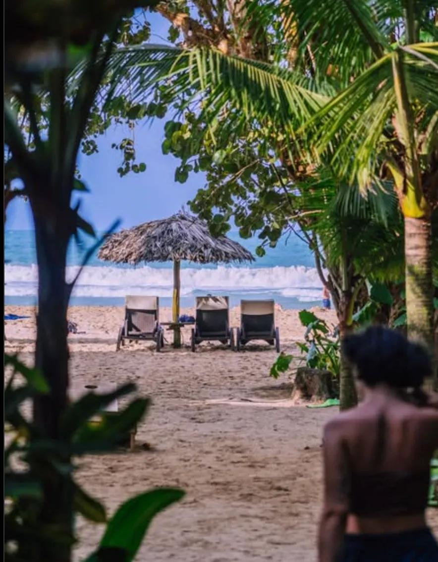 image of Palmar Beach Lodge
