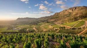 image of Klein Constantia Estate