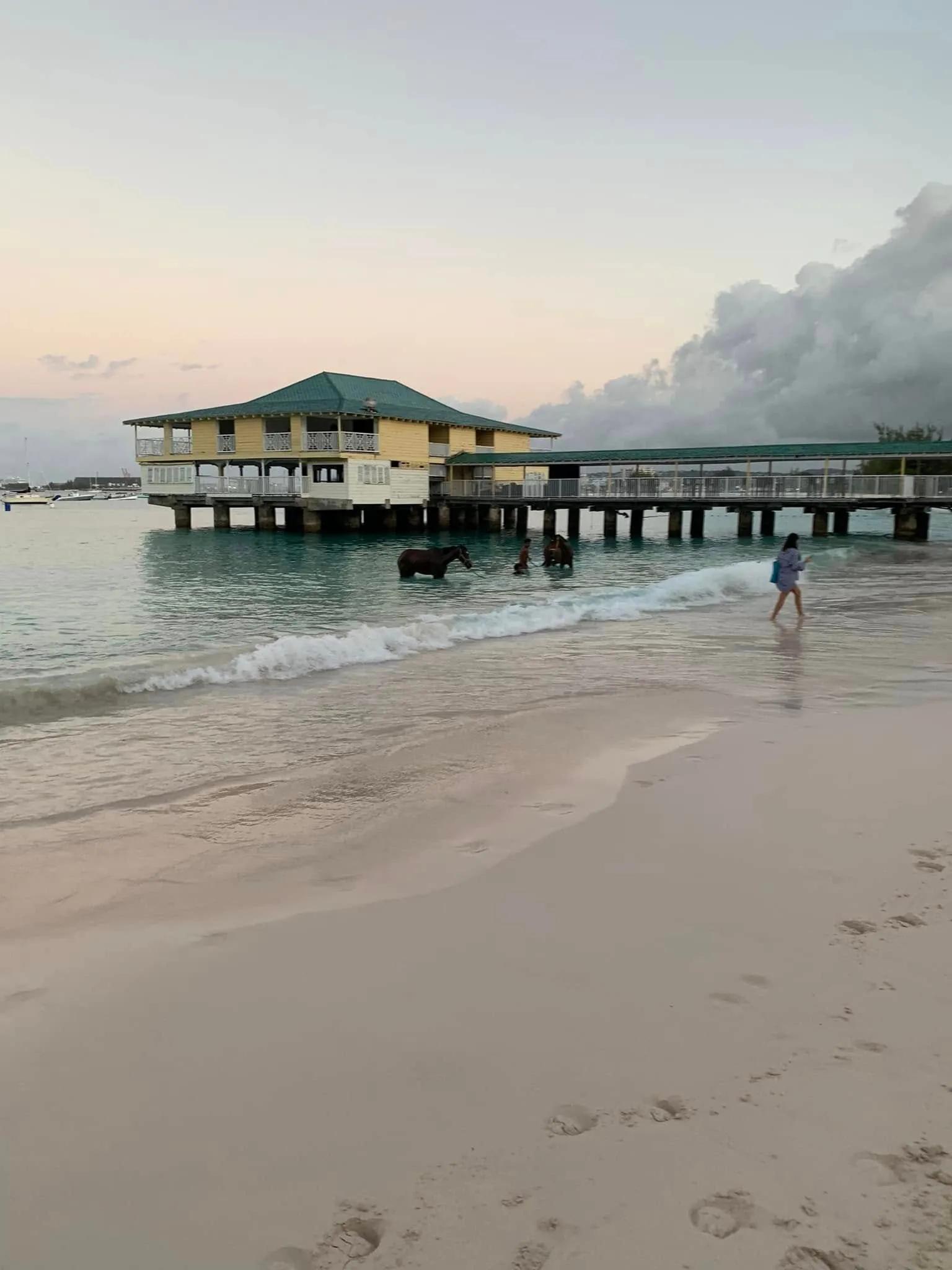 image of Pebbles Beach