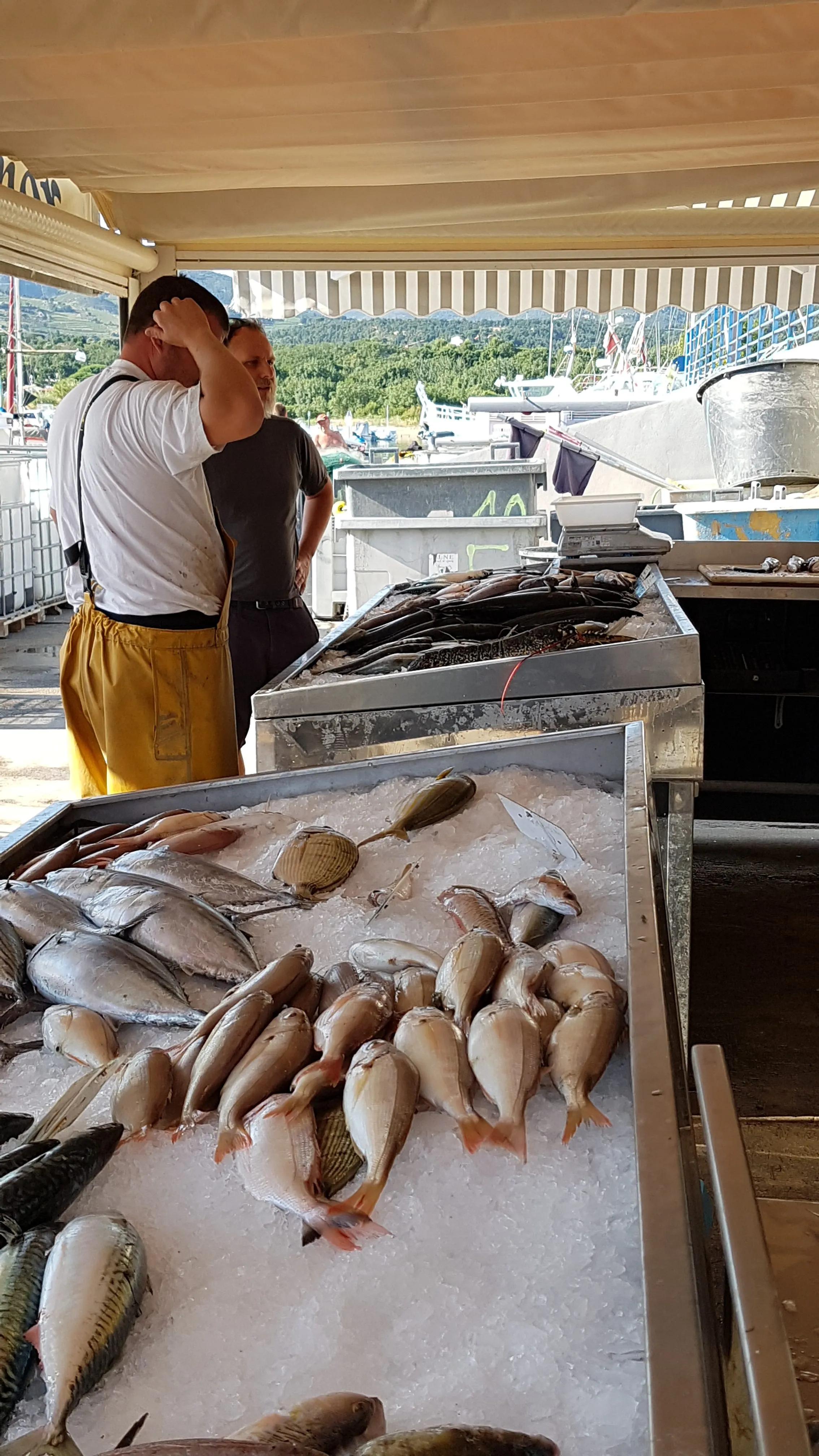 Recommendation for spot Vente directe de poisson Argeles sur Mer - Olivier Durietz