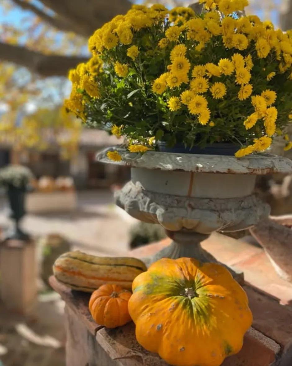 image of Le Grand Jardin