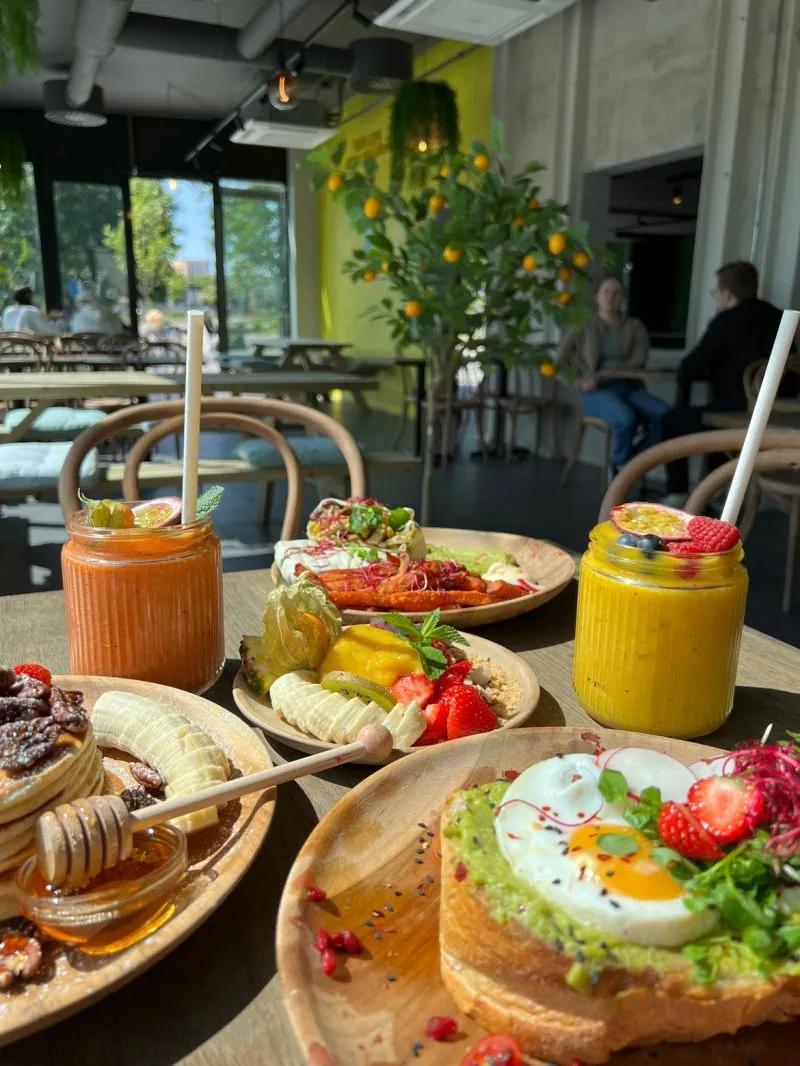 image of Lemon Garden