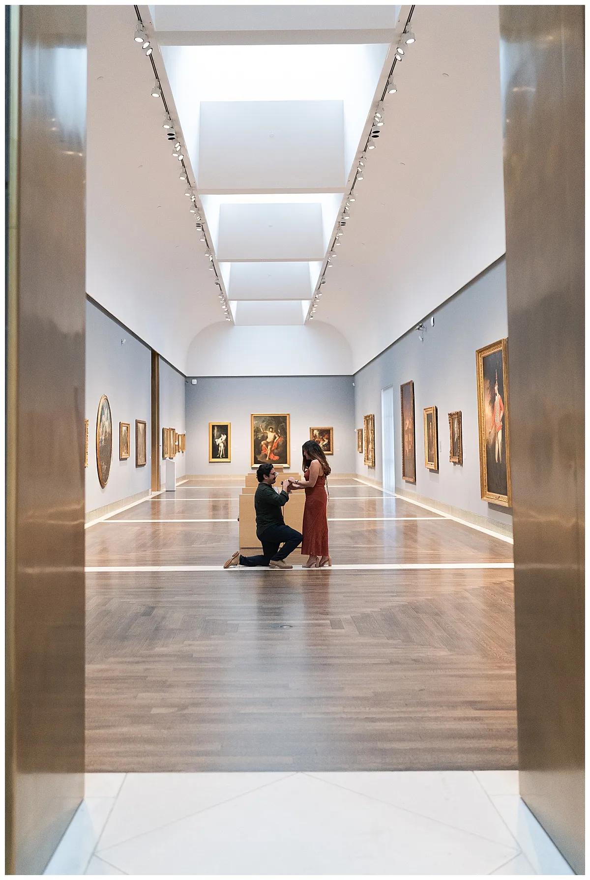 image of The Museum of Fine Arts, Houston