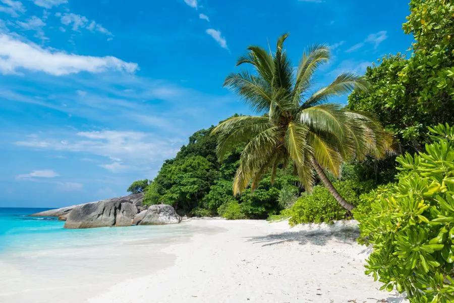 image of Mu Ko Similan National Park