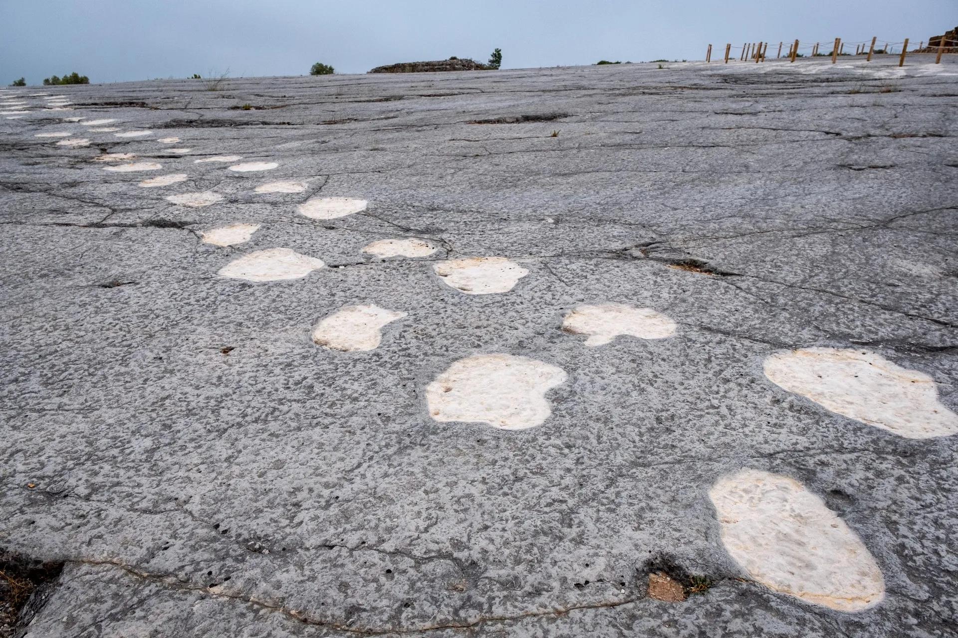 image of Pegadas de Dinossauros de Vale de Meios