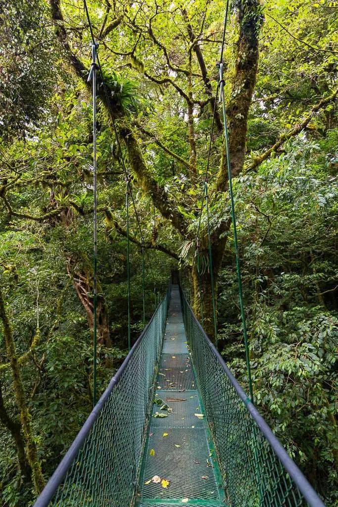 image of 100% Aventura Puentes Colgantes Monteverde