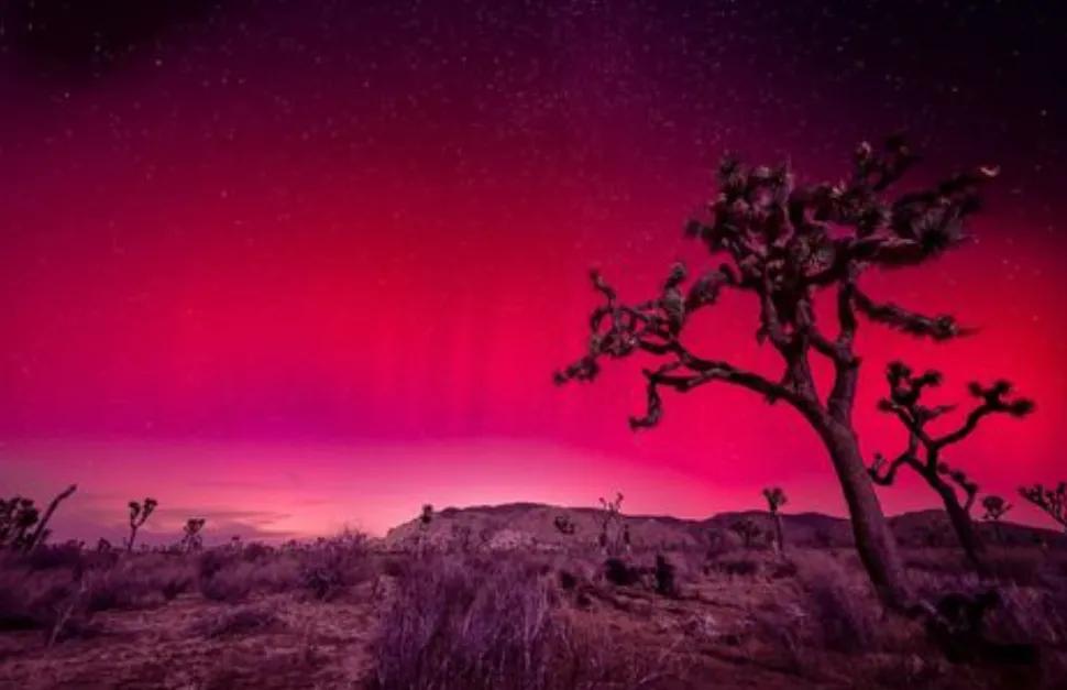 image of Joshua Tree National Park