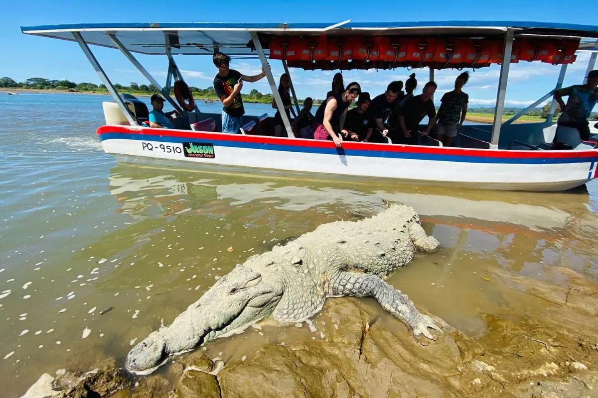 image of Jason Tours