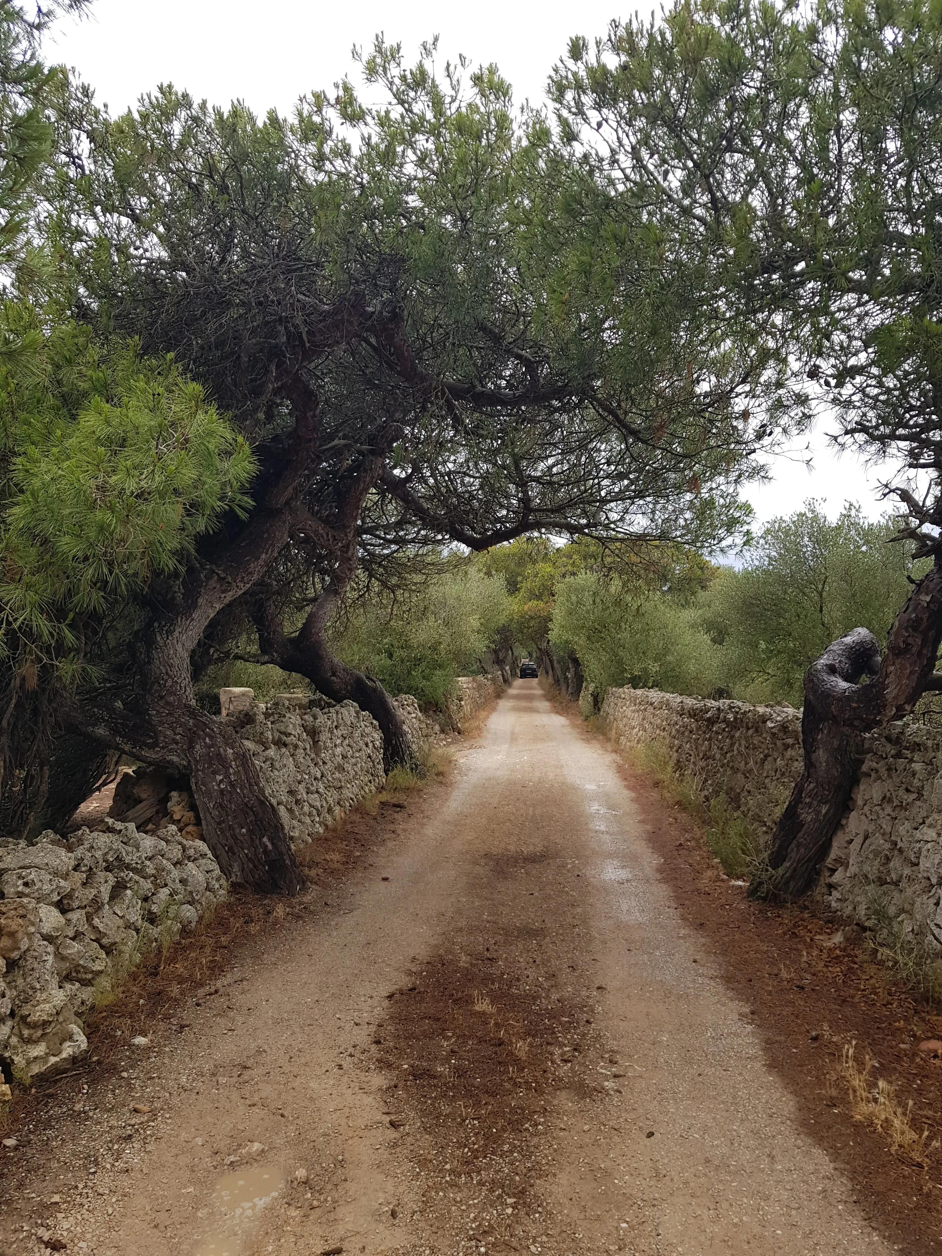 image of Matxani Gran