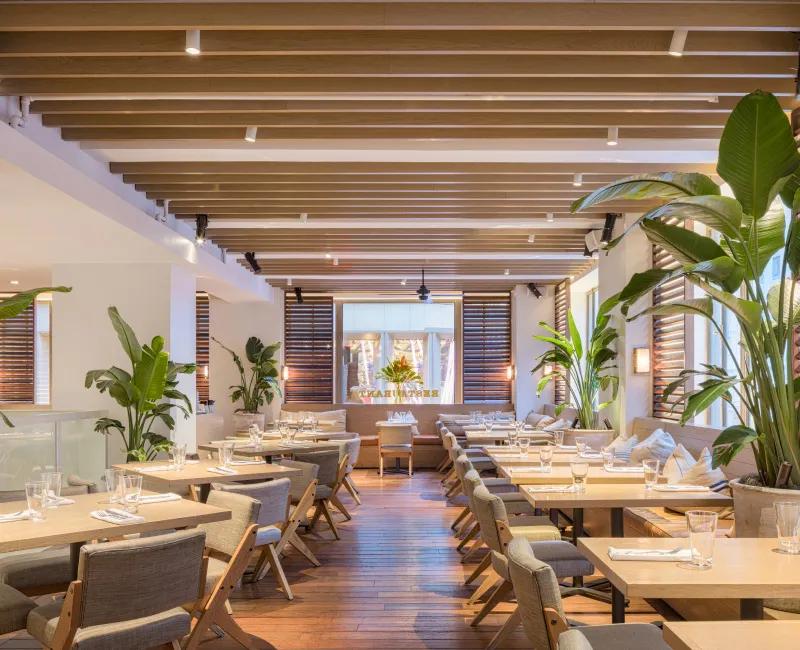 image of Tommy Bahama Restaurant, Bar & Store