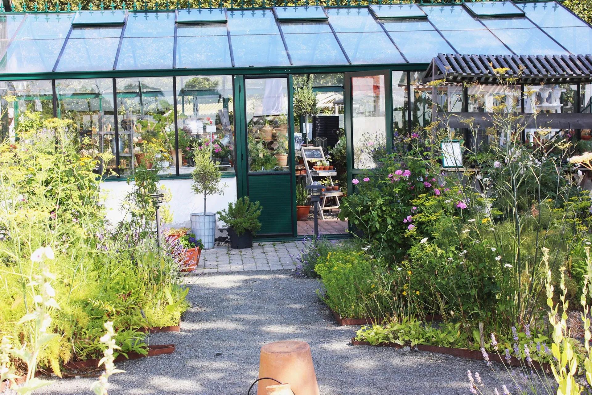 image of Österlenkryddor