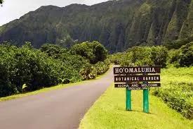 image of Hoʻomaluhia Botanical Garden